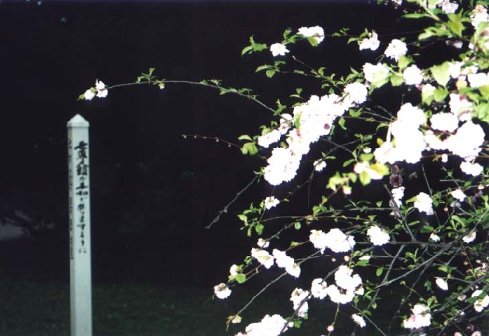 japonská zahrada